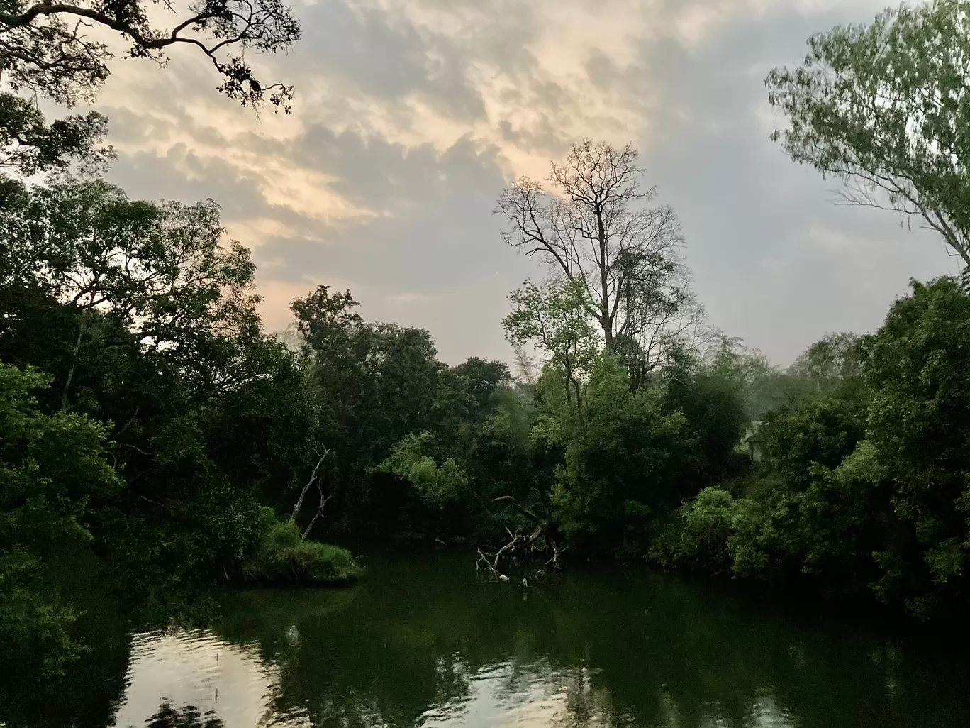 Photo of Nisargadhama By shanz iyer