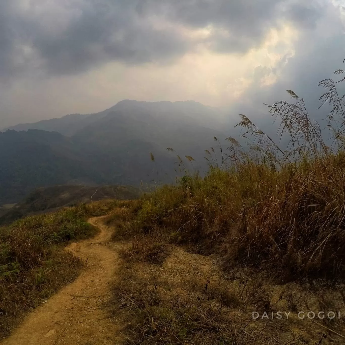 Photo of Nagaland By Daisy Gogoi