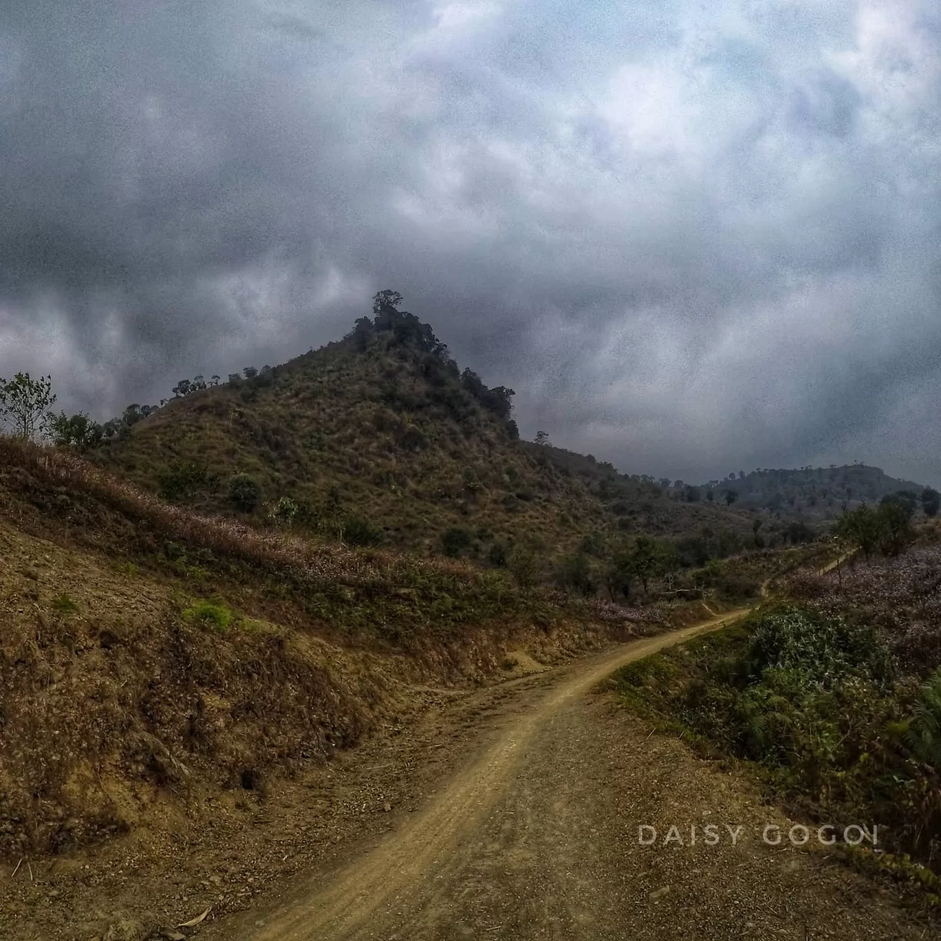 Photo of Nagaland By Daisy Gogoi