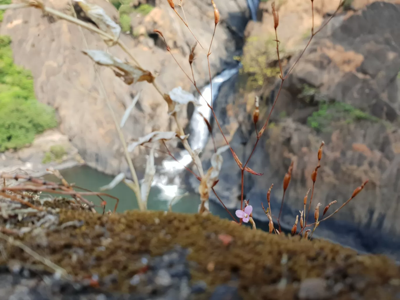 Photo of Dudhsagar Falls By Yash_ Wagh_