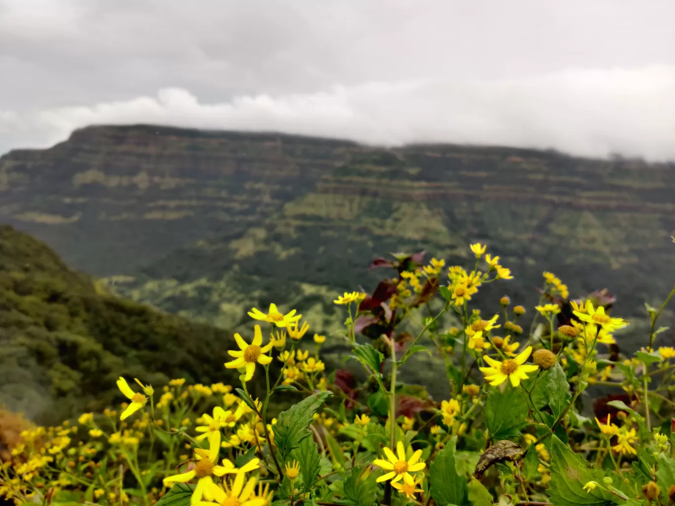 Photo of Kates Point Mahabalehwar By Ramsay Bolton