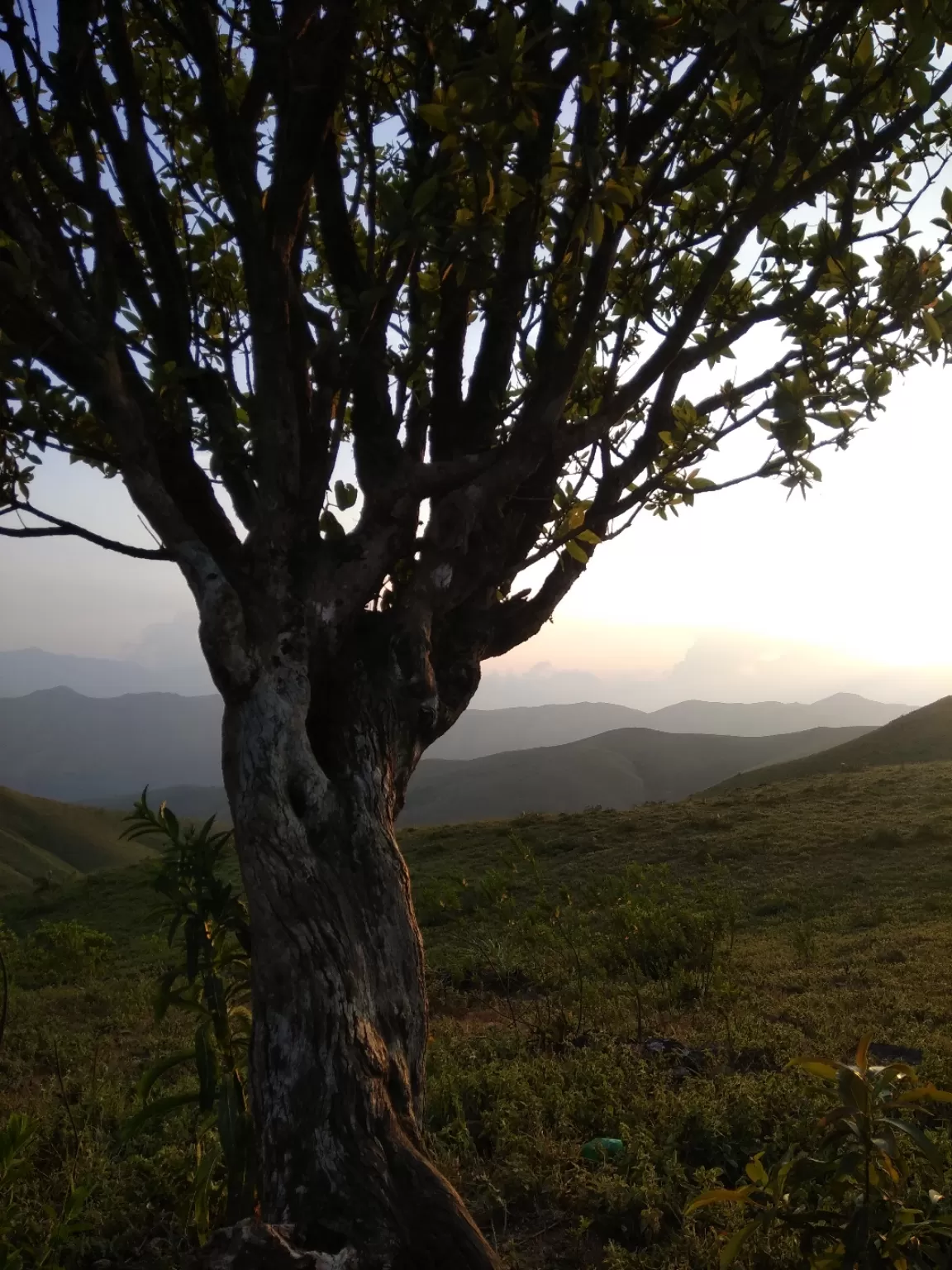 Photo of Kudremukh Peak Top By Saleem Pasha