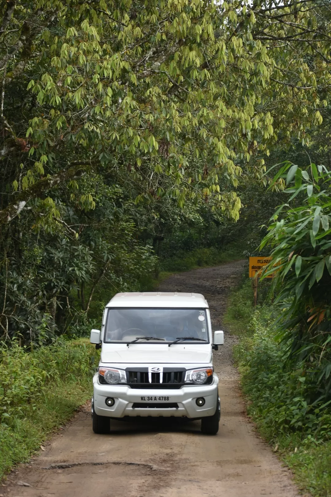 Photo of Gavi By Mridul Madhav