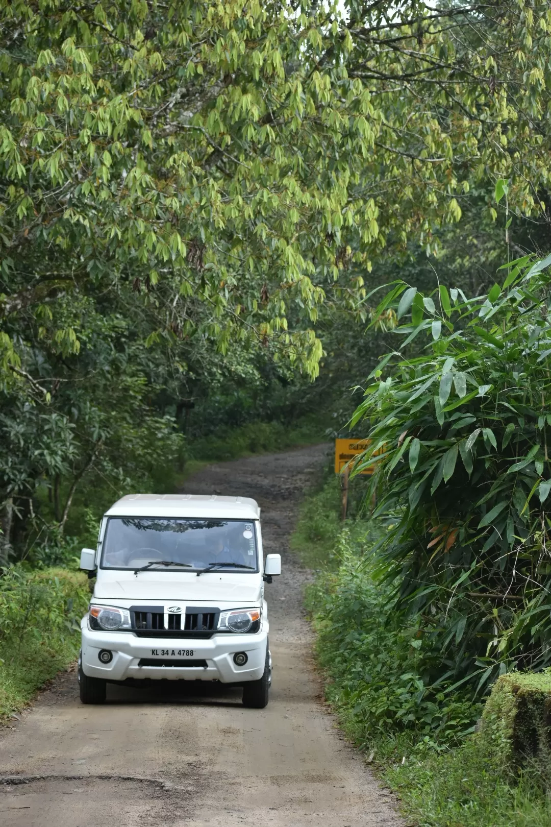 Photo of Gavi By Mridul Madhav