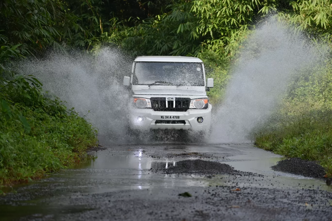 Photo of Gavi By Mridul Madhav