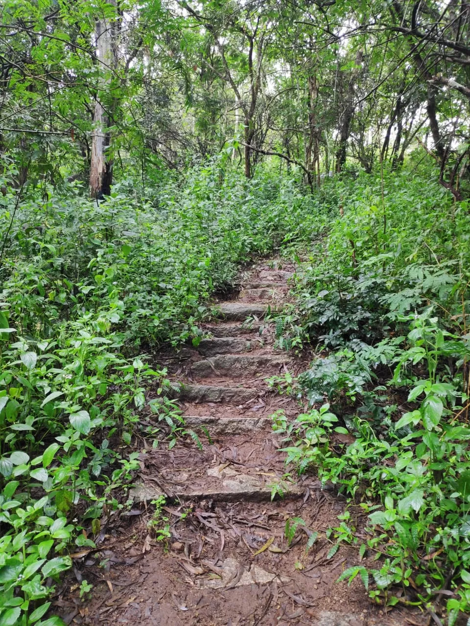 Photo of Chandragiri Hill By Arjun Mv