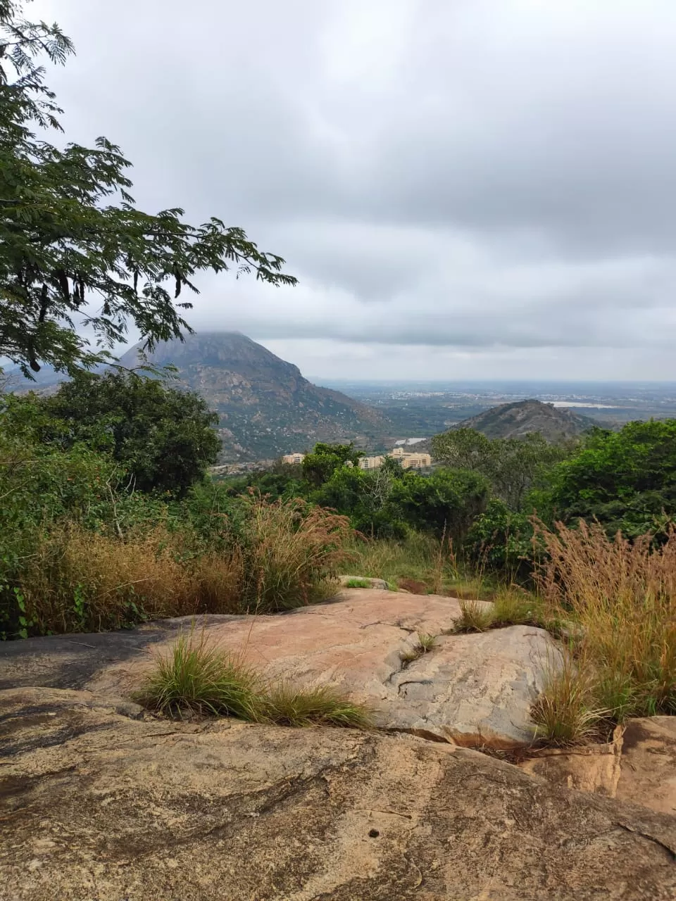 Photo of Chandragiri Hill By Arjun Mv