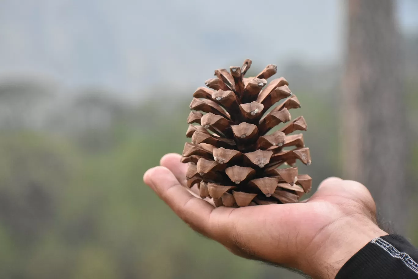 Photo of Palampur By Arif Gohar