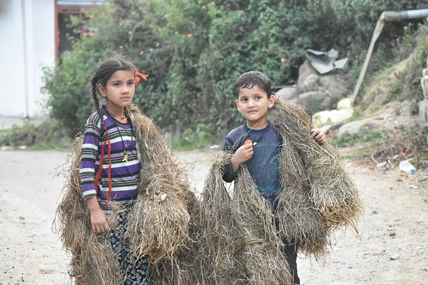 Photo of Palampur By Arif Gohar