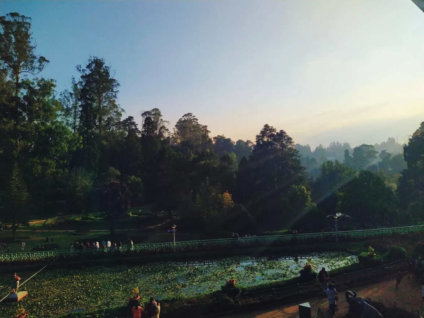 Photo of Ooty By Fly With Pallabi