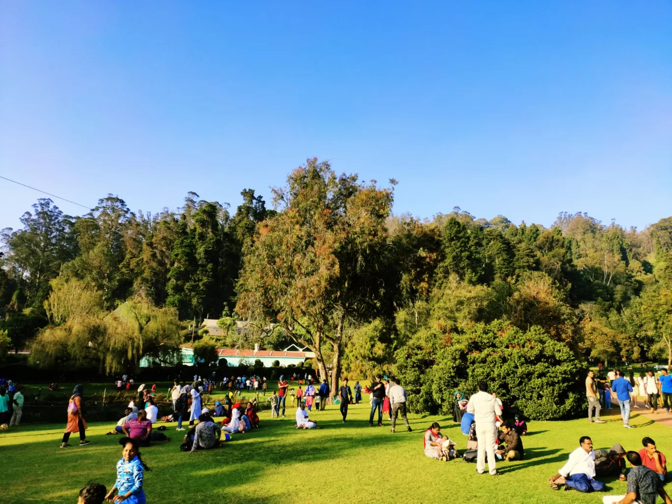 Photo of Ooty By Fly With Pallabi