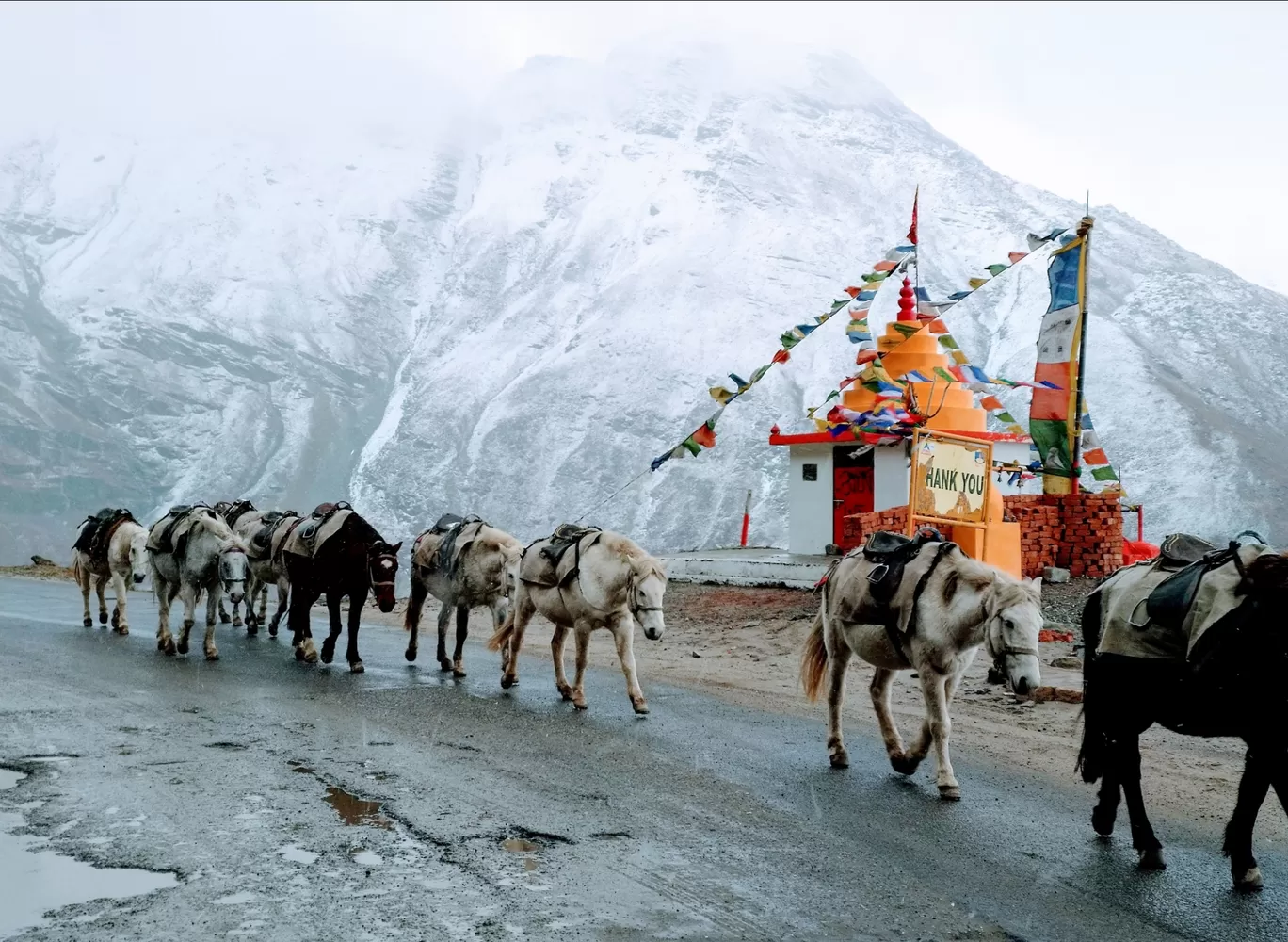 Photo of Himachal Pradesh By AJMAL MOHAMMED SHERIF
