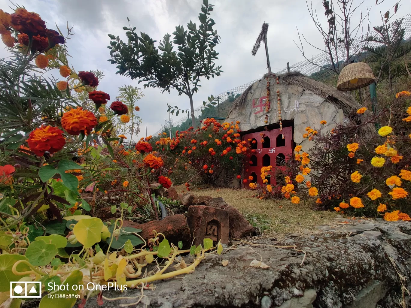 Photo of Primary School Mehragaon By deepak arya