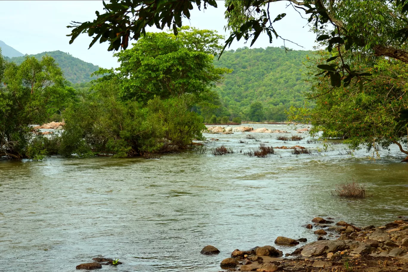 Photo of Galibore Nature Camp - Junglelodges and Resorts By Koushik Dhar