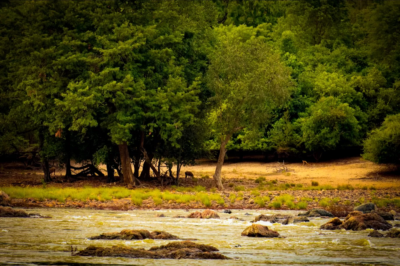 Photo of Galibore Nature Camp - Junglelodges and Resorts By Koushik Dhar