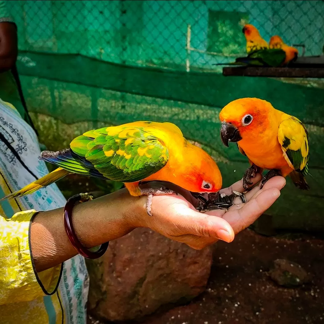 Photo of Fundera park - Birds park By Koushik Dhar