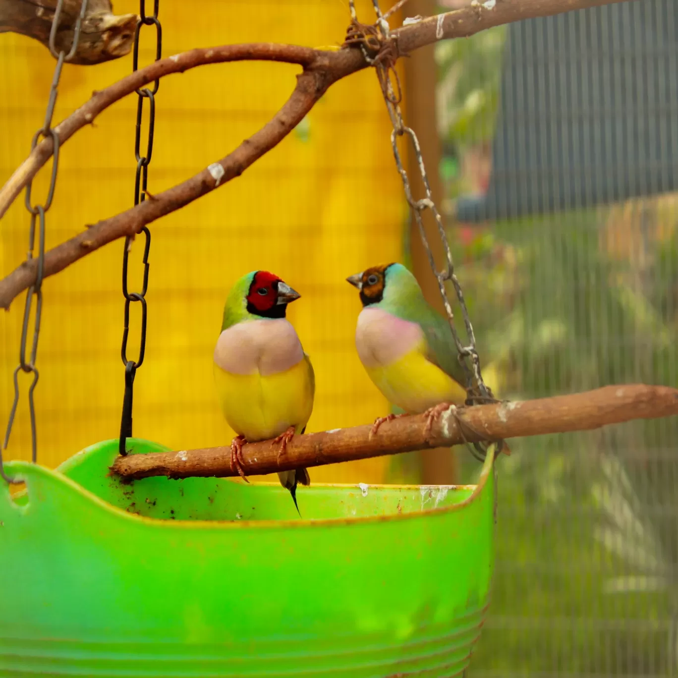 Photo of Fundera park - Birds park By Koushik Dhar