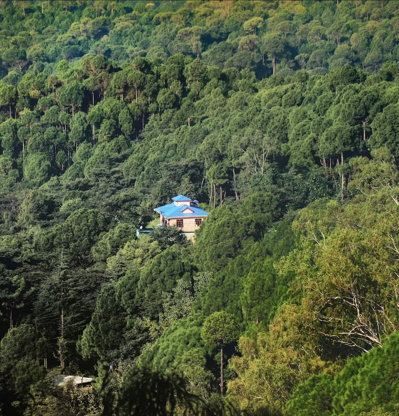 Photo of Bir Billing Himachal Pradesh By Prem Ranjan