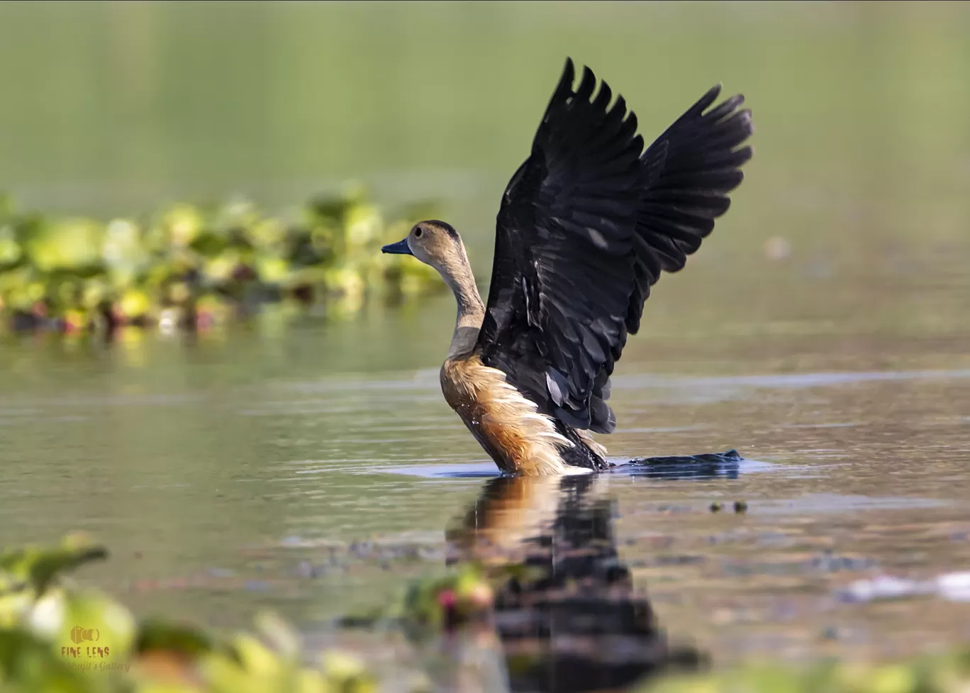 Photo of Chupi By Suvhojit Khan