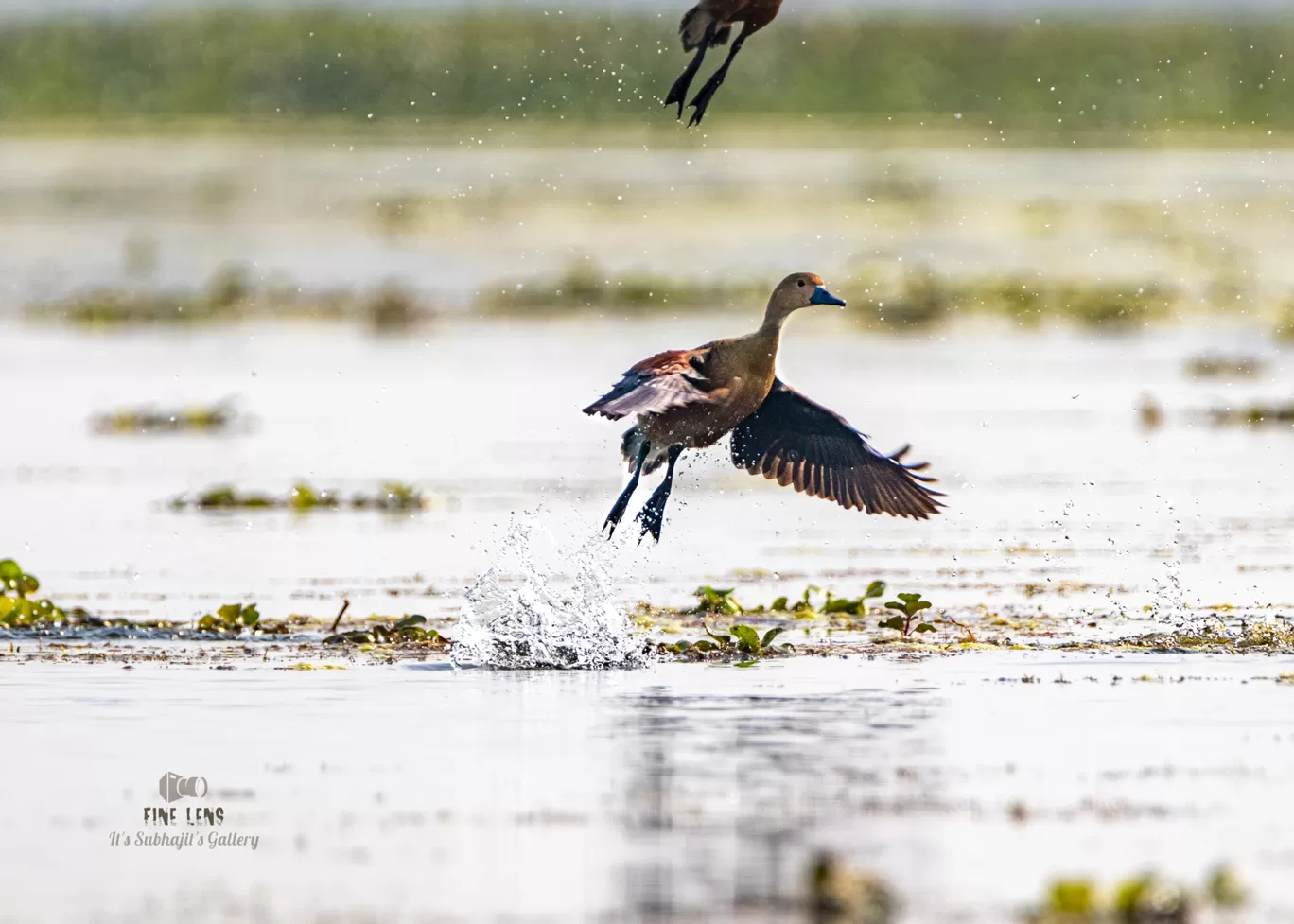 Photo of Chupi By Suvhojit Khan