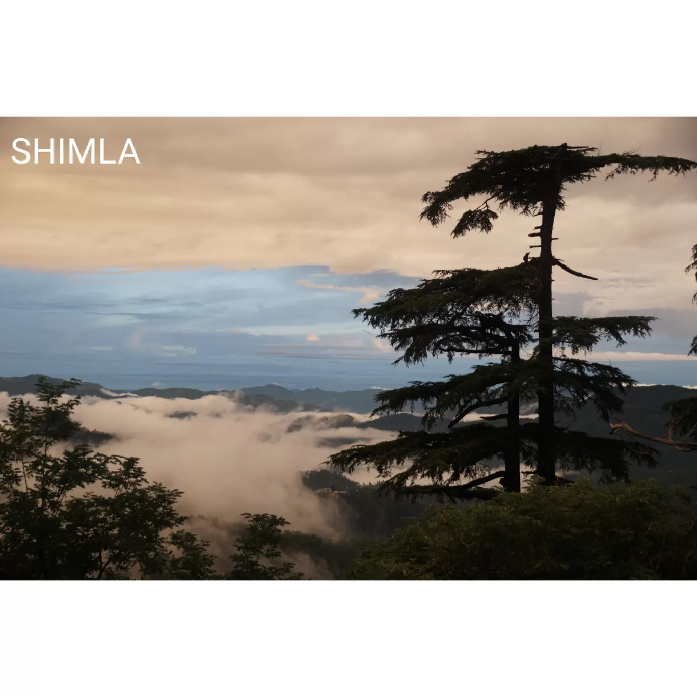 Photo of Shimla By asif tanwer