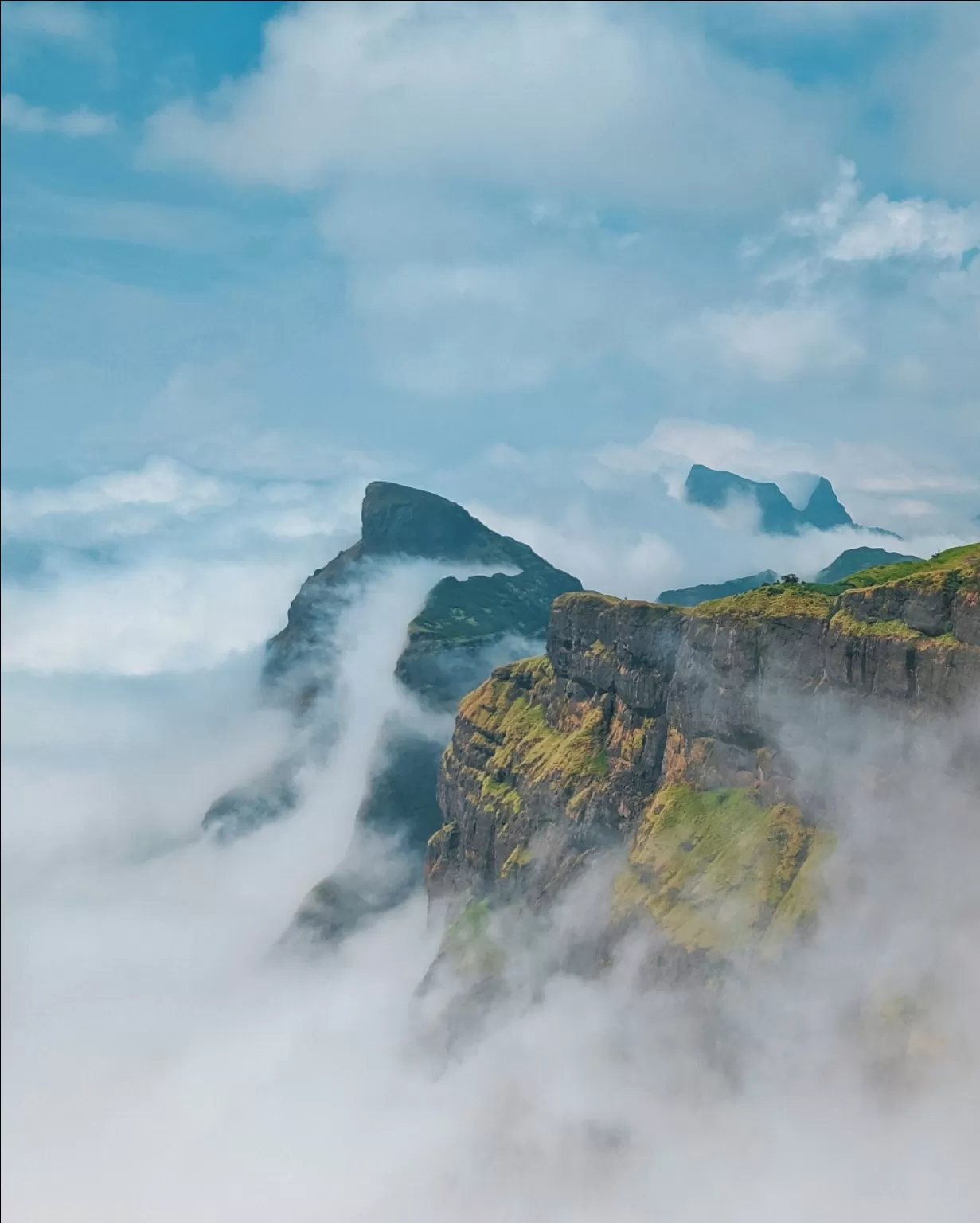 Photo of Kokankada By Pratik Wayangankar