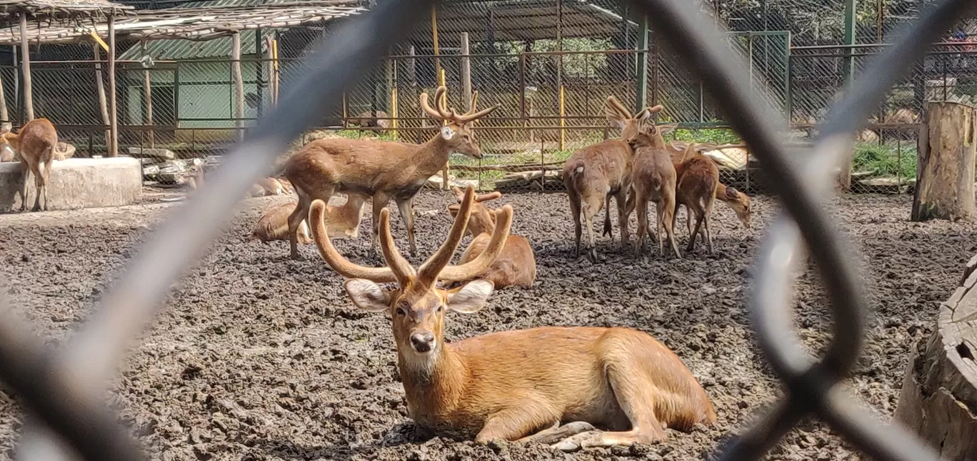 Photo of Bannerghatta Biological Park By Nishanth Ramesh