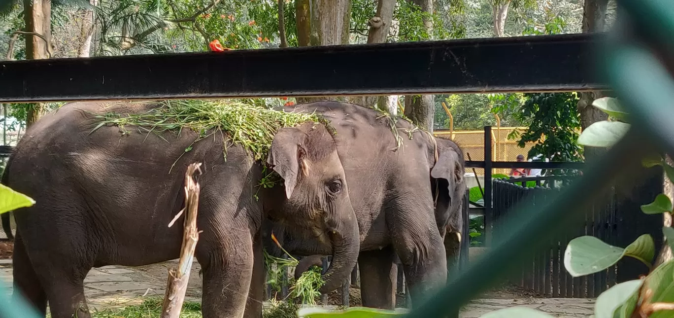 Photo of Bannerghatta Biological Park By Nishanth Ramesh