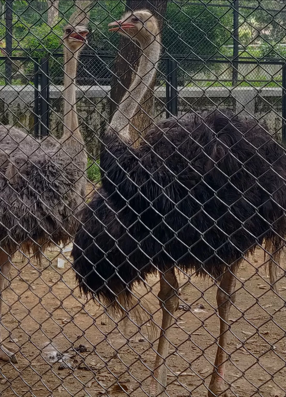 Photo of Bannerghatta Biological Park By Nishanth Ramesh