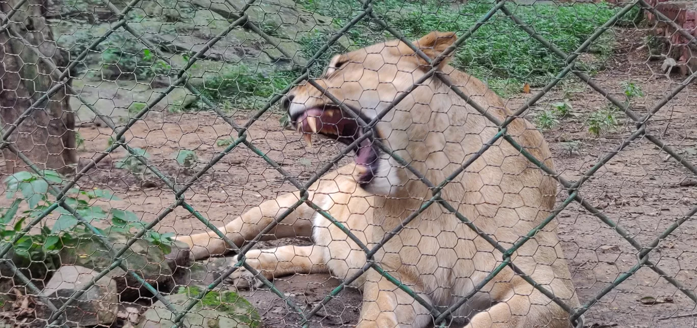 Photo of Bannerghatta Biological Park By Nishanth Ramesh