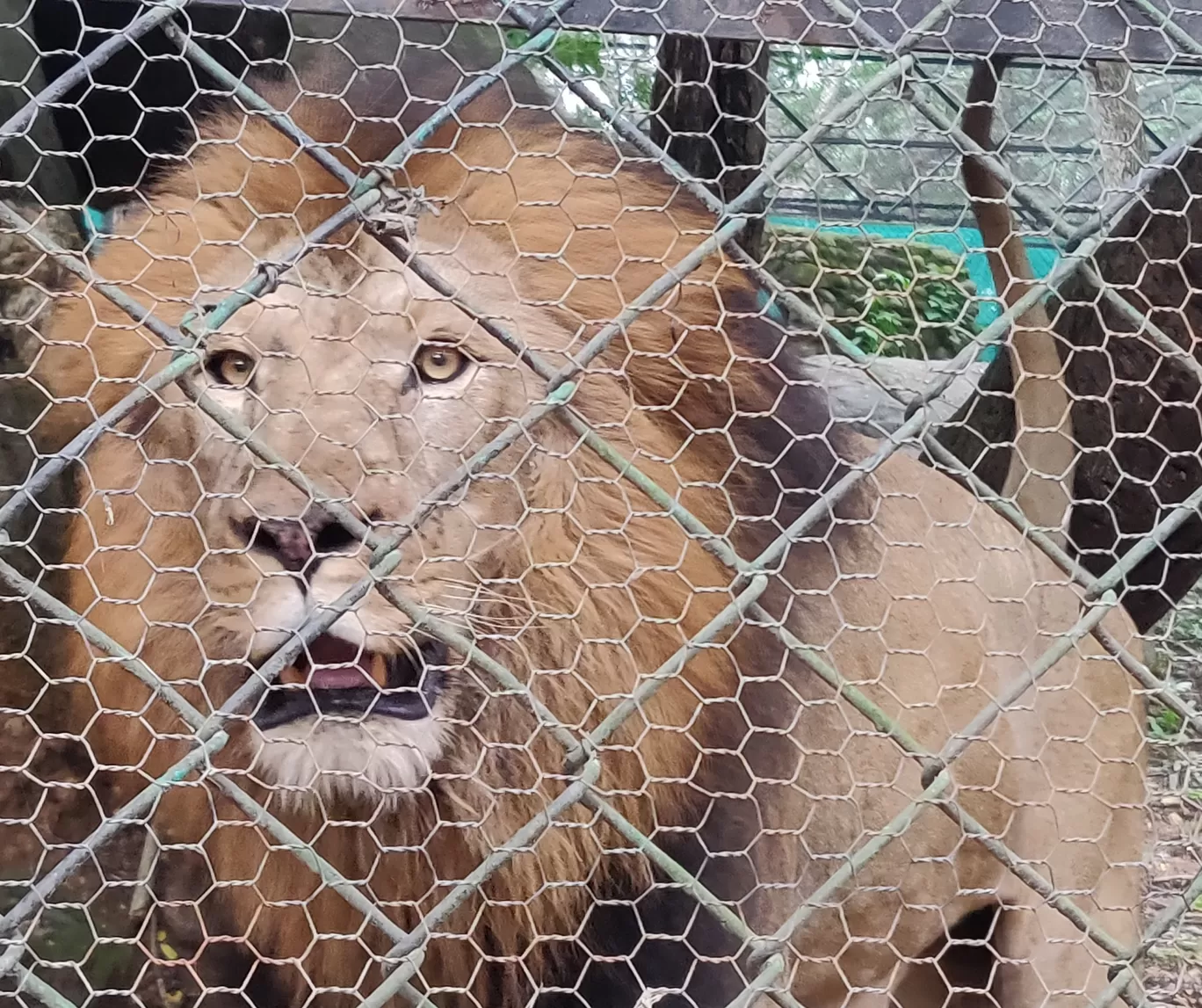 Photo of Bannerghatta Biological Park By Nishanth Ramesh