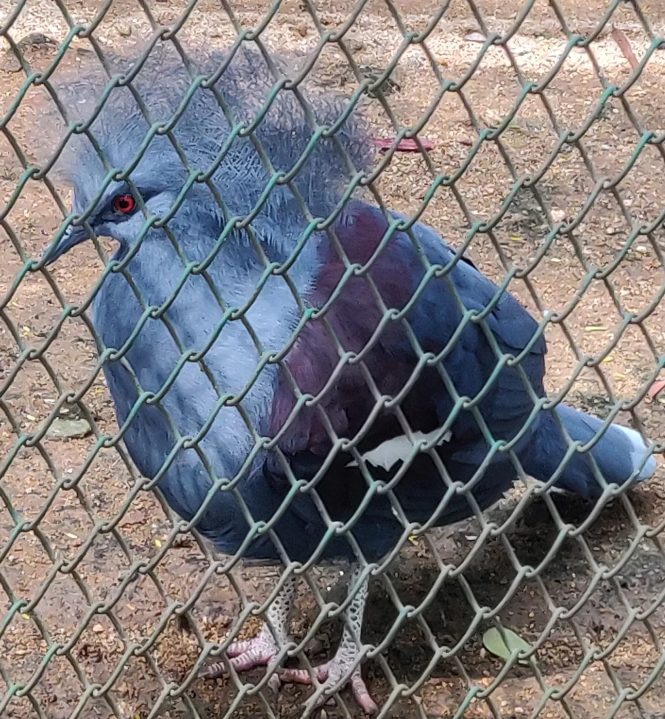 Photo of Bannerghatta Biological Park By Nishanth Ramesh