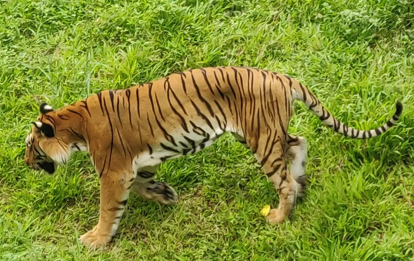 Photo of Bannerghatta Biological Park By Nishanth Ramesh