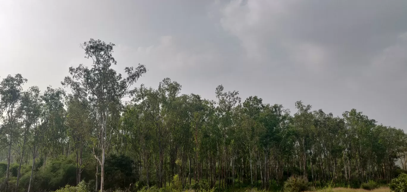 Photo of Bannerghatta Biological Park By Nishanth Ramesh