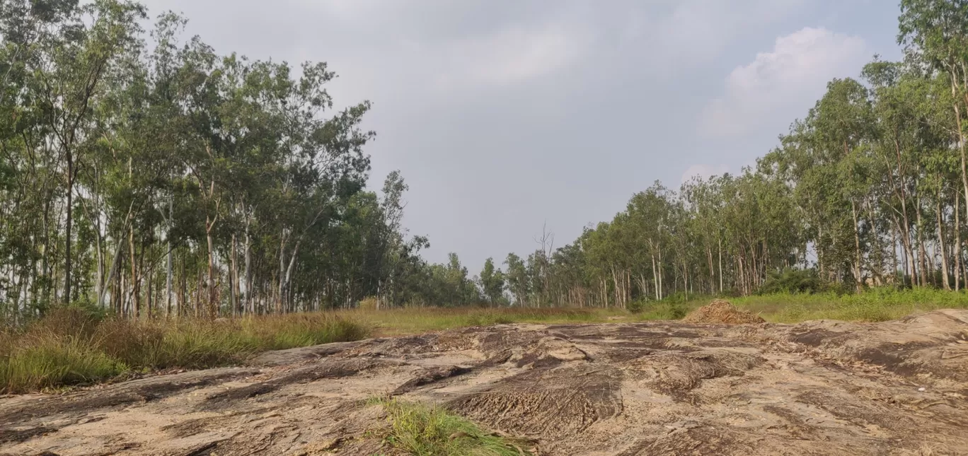 Photo of Bannerghatta Biological Park By Nishanth Ramesh