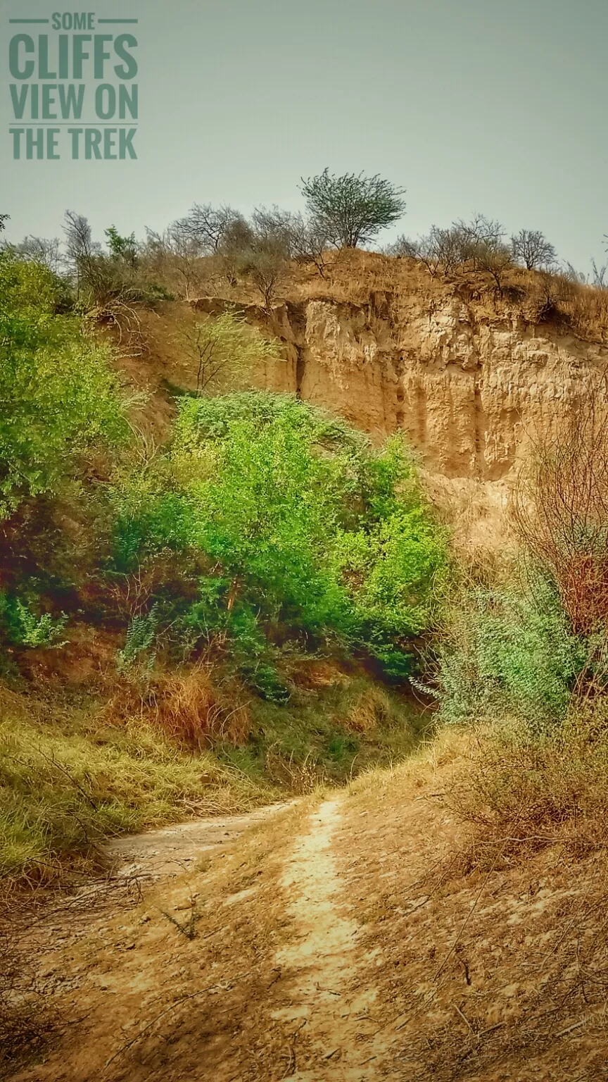 Photo of Chambal By Ashu JT