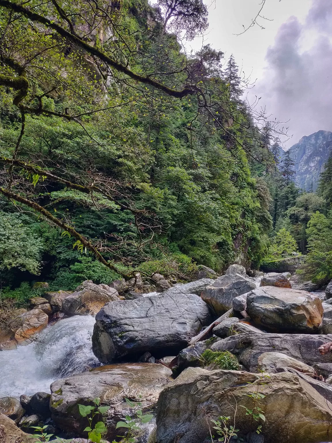 Photo of Kasol By Pragati Arora