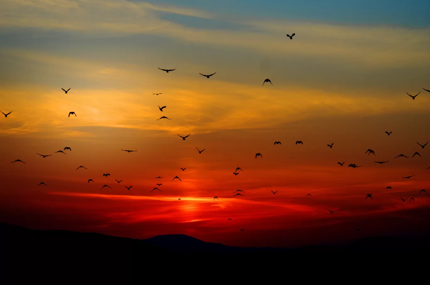 Photo of Chennai By Deepak Patra