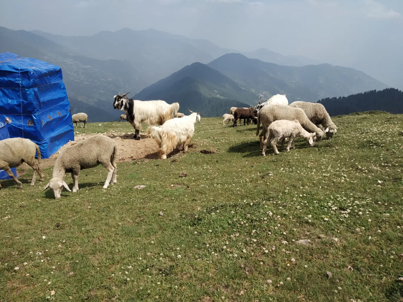 Photo of Tirthan Valley By Praveen Prakash