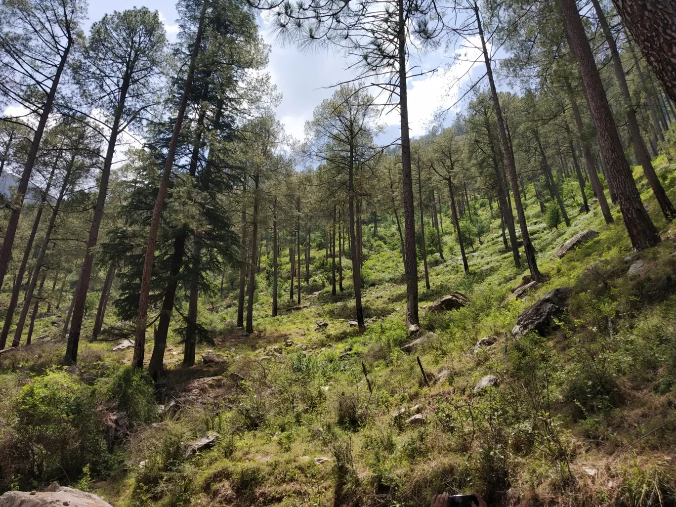 Photo of Tirthan Valley By Praveen Prakash