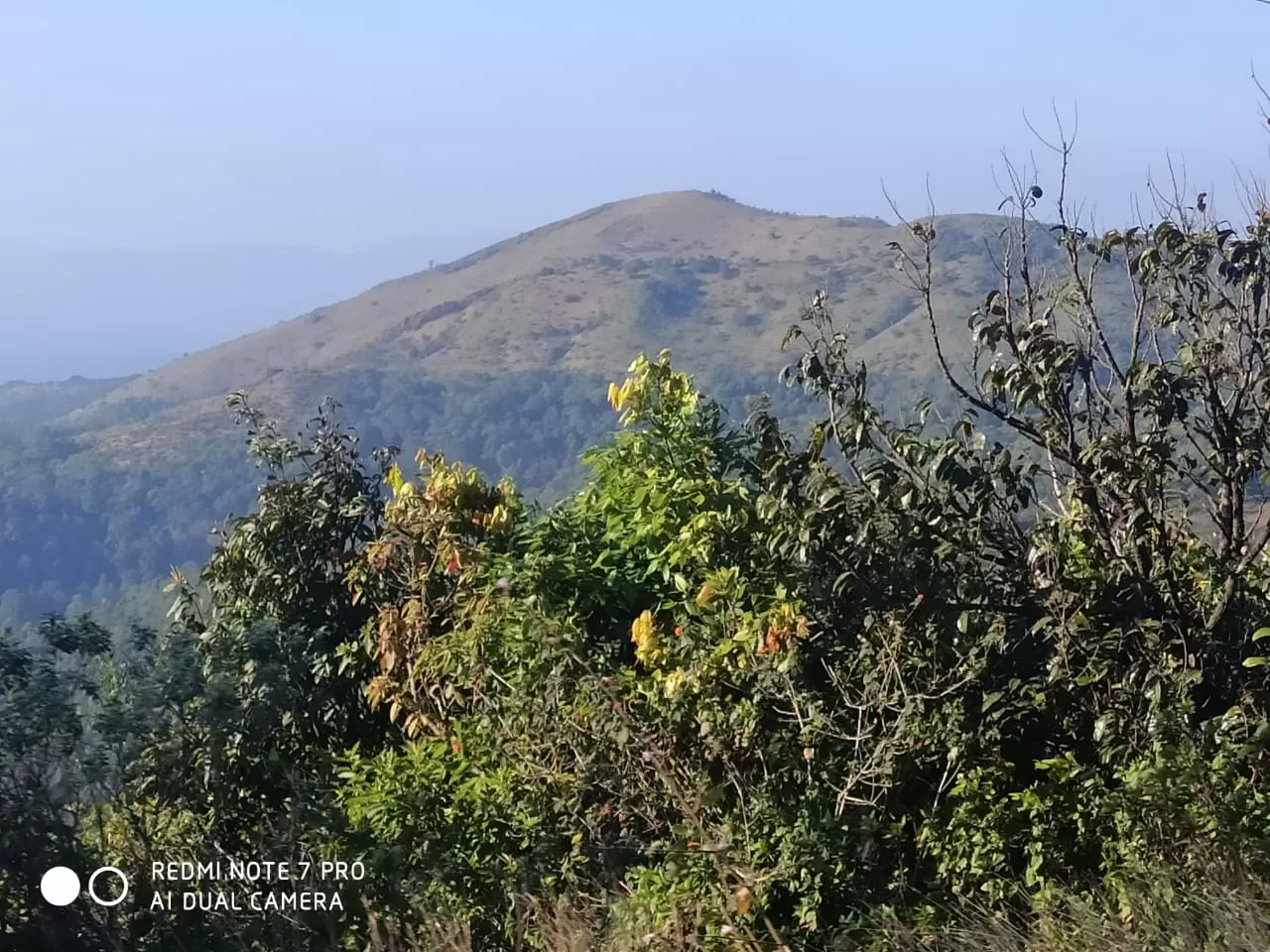 Photo of Mullayanagiri By Rahul Nayaka