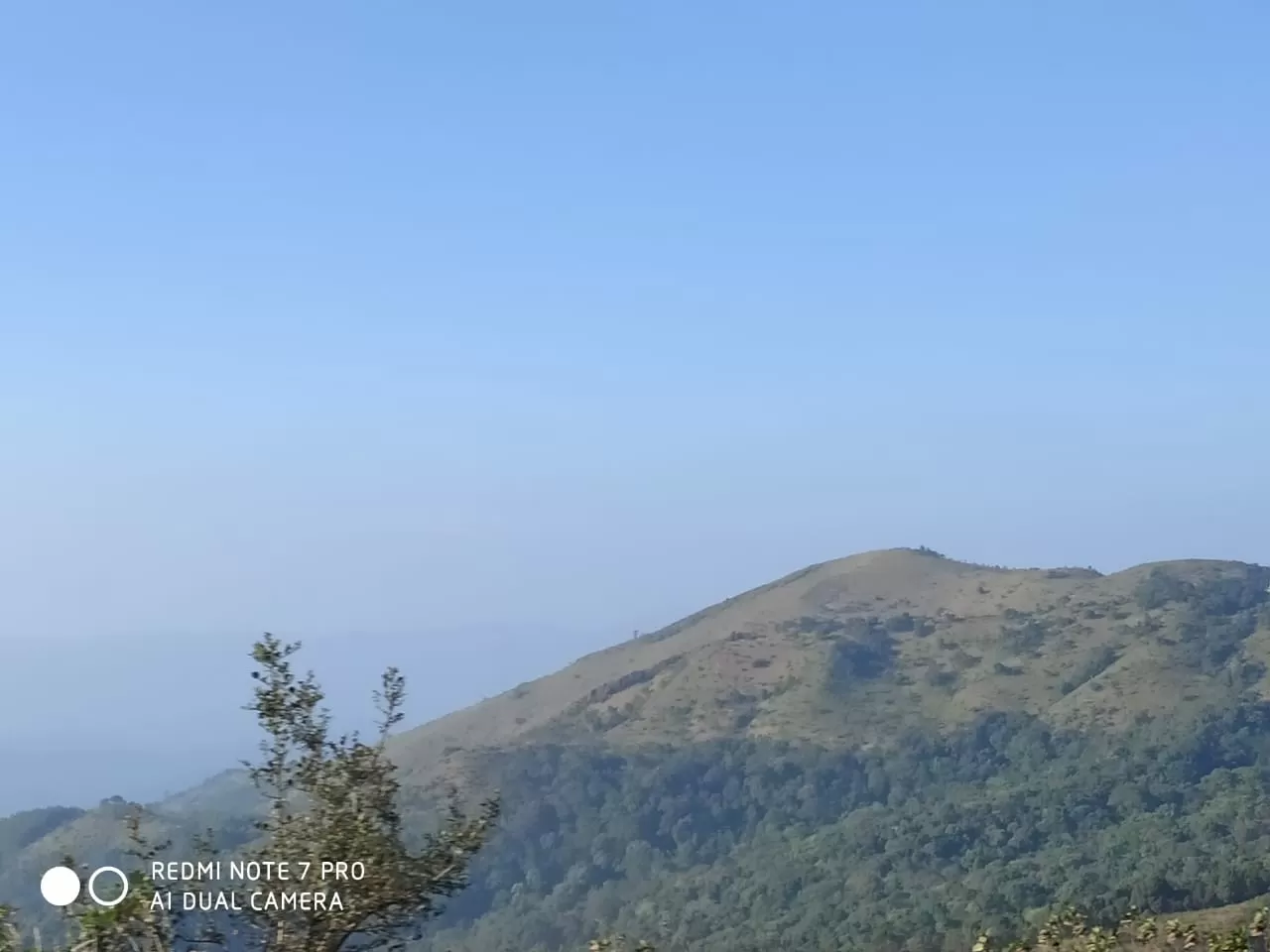 Photo of Mullayanagiri By Rahul Nayaka