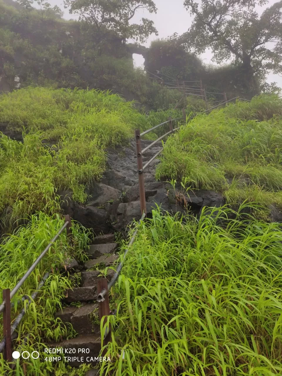 Photo of Karnala Bird Sanctuary By Chetan Vinjuda
