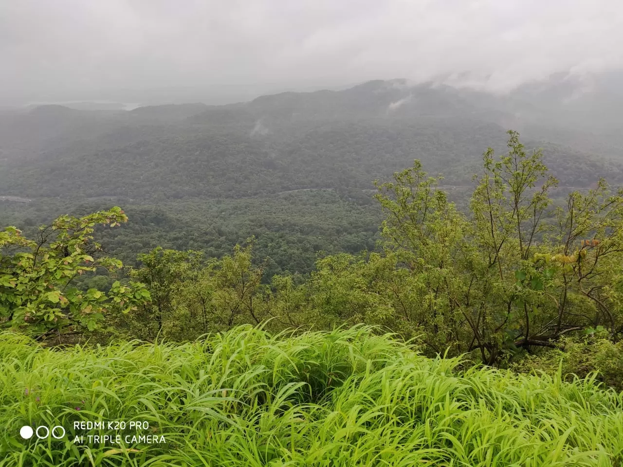 Photo of Karnala Bird Sanctuary By Chetan Vinjuda