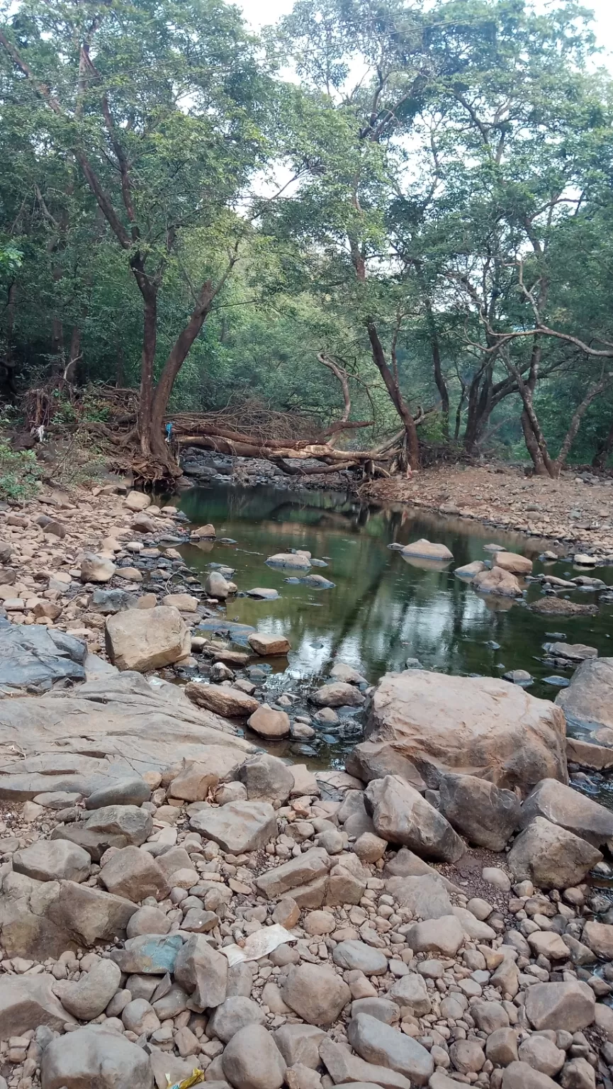 Photo of Tungareshwar Waterfall By Jha Vikas