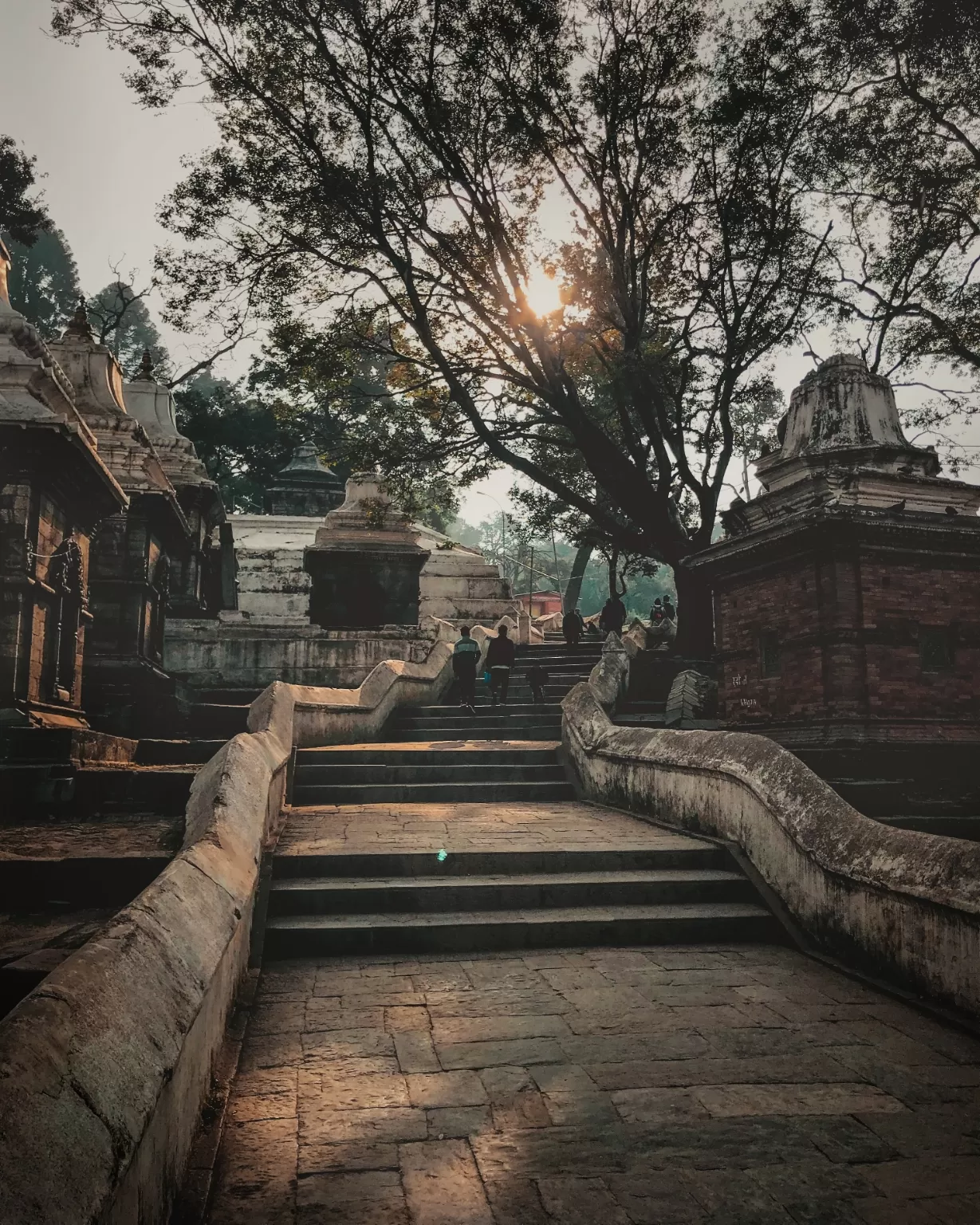 Photo of Pashupatinath Temple By Dendiv Kc