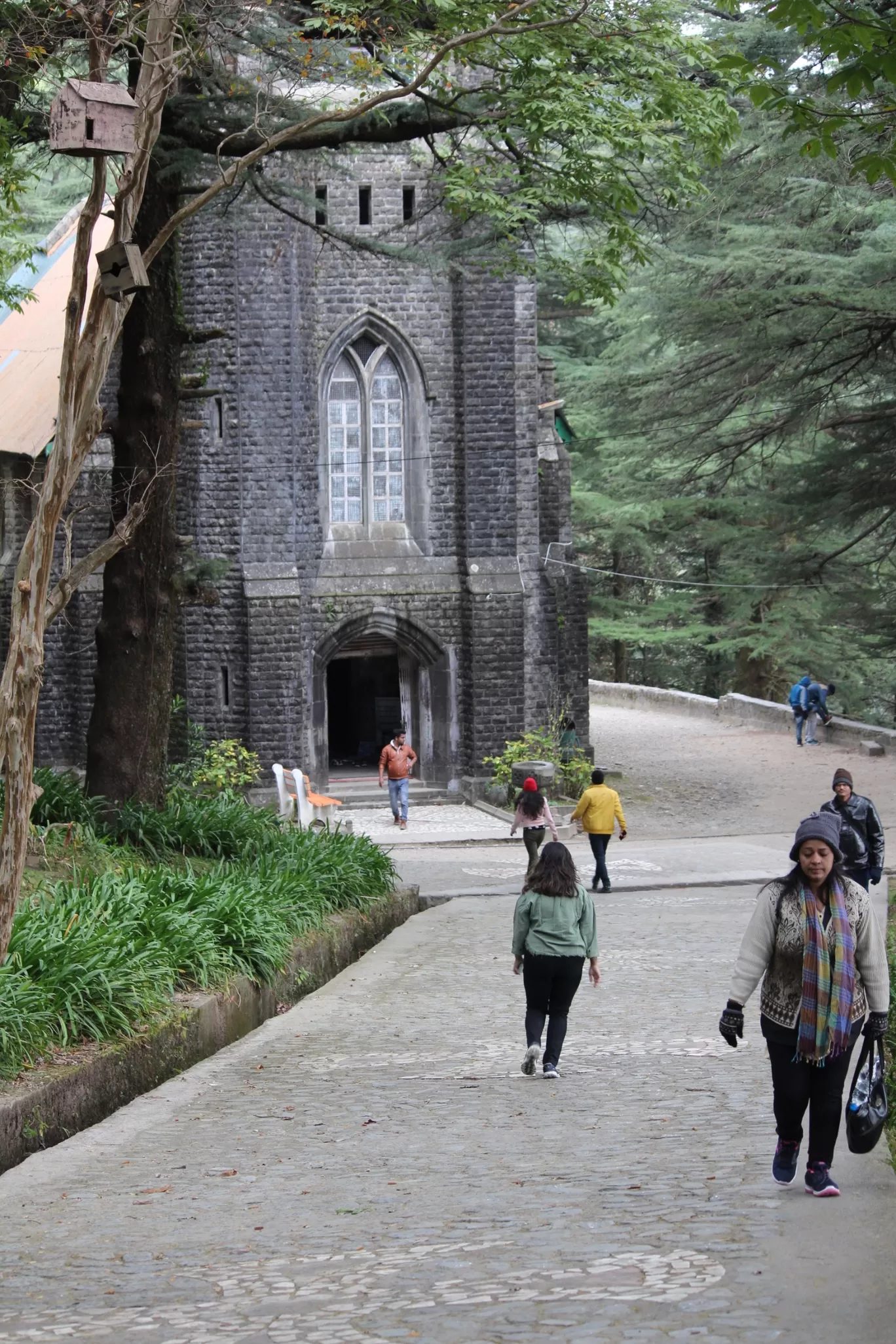 Photo of McLeod Ganj By Mohit Pareek