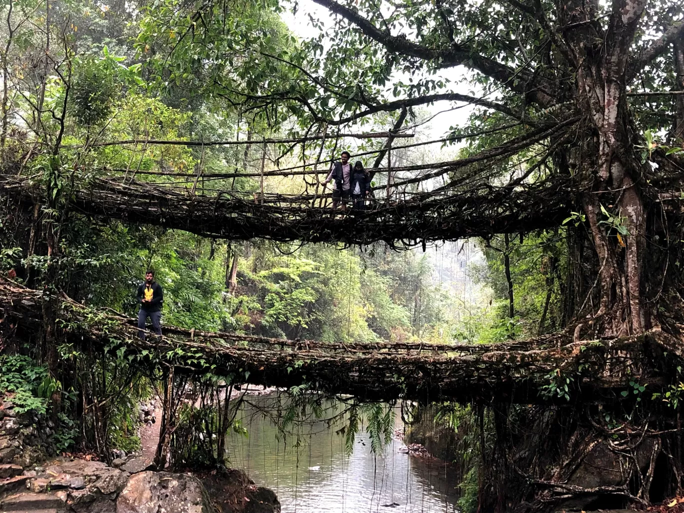 Photo of Double Decker Living Root Bridge By Sharmila k