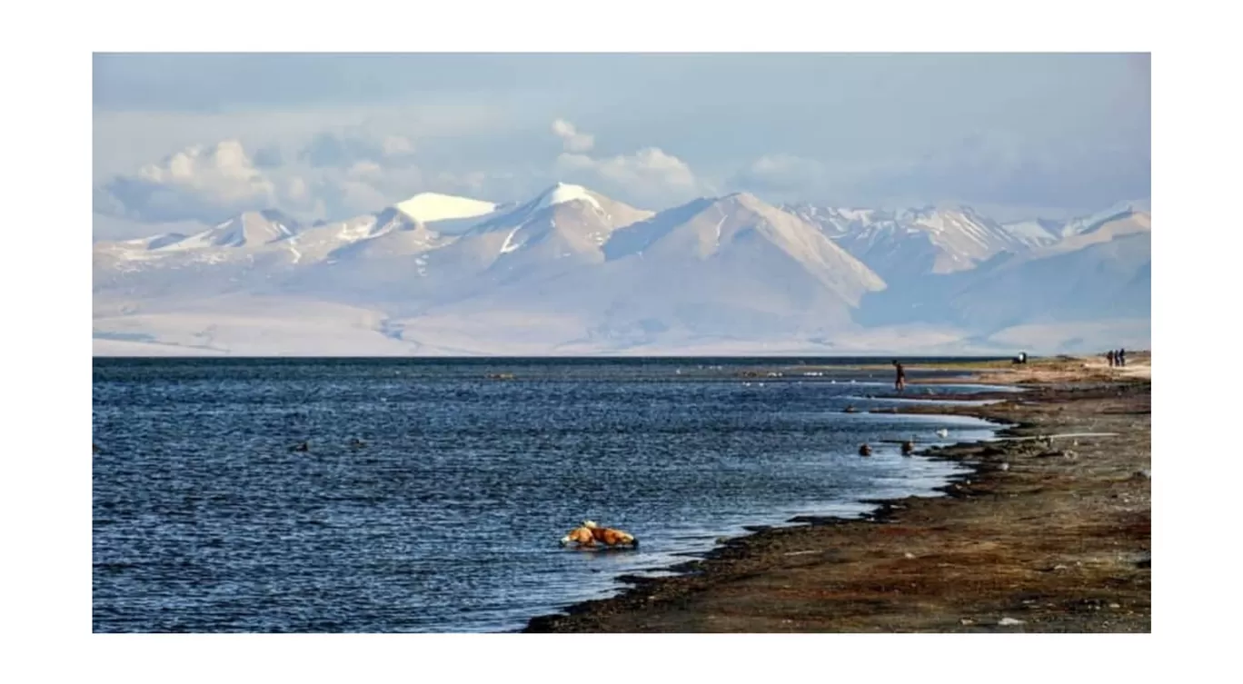 Photo of Kailash Mansarovar By Maulshree Malik