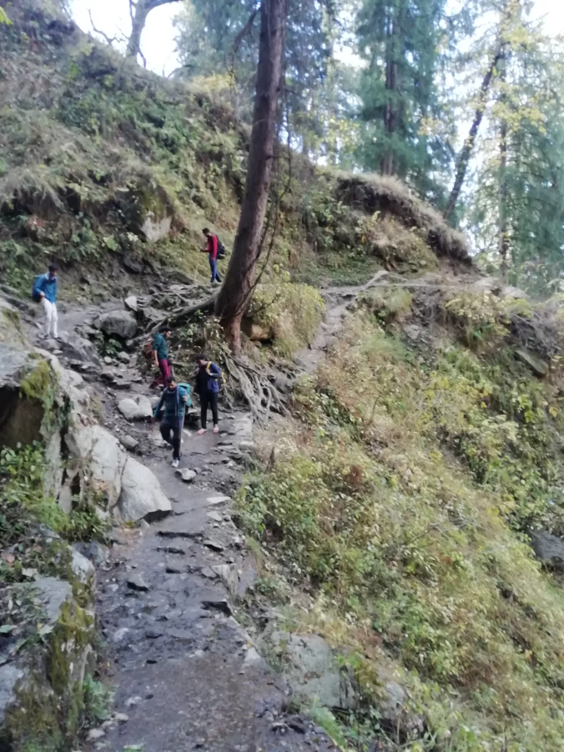 Photo of Kheerganga Trek By shyam bhardwaj